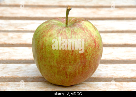 Einzelne Jonagored Apfel Malus Domestica Stockfoto