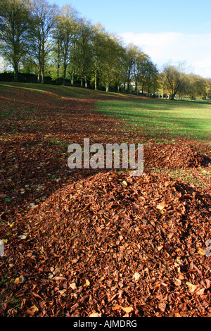 Haufen von Herbst Blätter in Lurgan Park, Grafschaft Armagh, Nordirland Stockfoto