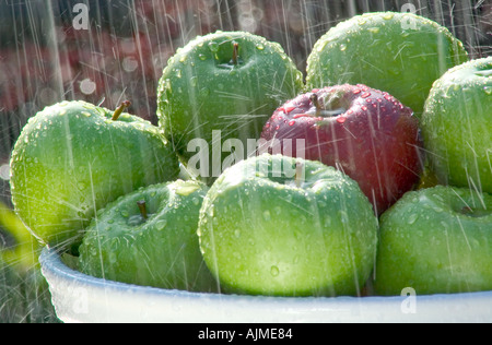 Äpfel im Regen Stockfoto