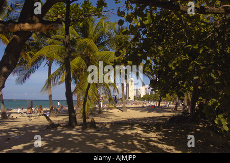 San Juan Puerto Rico Isla Verde beach mit Sonnenanbeter, blauer Himmel und Resort-Hotels im Hintergrund, Plam Bäume säumen Strand, Antenne Stockfoto