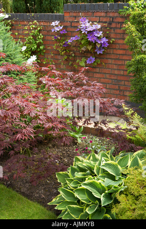 geschützten Garten in der Nähe von Mauer Stockfoto