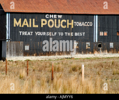 Mail Pouch Tabakwerbung auf Seite der Scheune In ländlichen Pennsylvania, USA Stockfoto