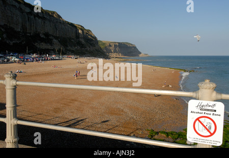 Alkohol-freie Zone-Zeichen mit Blick auf den Strand und die Klippen, die östlich von Hastings Hastings Sussex UK 28. Juli 2006 Stockfoto