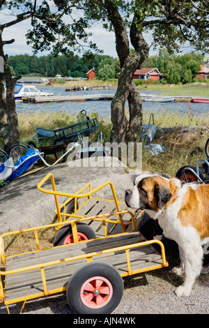 SCHWEDEN STOCKHOLM ARCHIPEL NORRÖRA INSEL TYPISCHEN ARCHIPEL WAGEN AM HAFEN Stockfoto