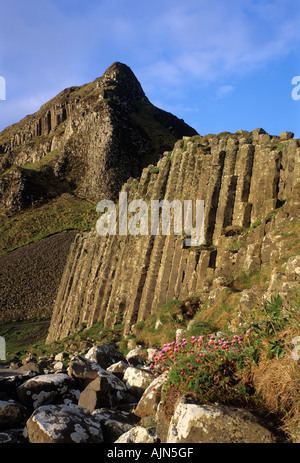 Giant es Causeway Antrim Nordirland Vereinigtes Königreich Stockfoto