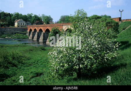 Landschaftlich von blühenden Apfelbaum Malus Domestica vor der Ziegel Brücke über Fluss Venta in Kuldiga Stadt Lettland Stockfoto