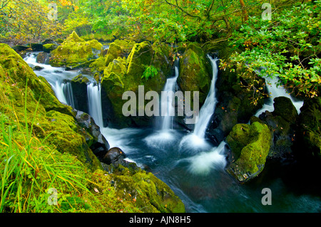 Colwith Force Wasserfall auf dem Fluß Brathay im Lake District National Park in der Nähe von Colwith, Cumbria, England. Stockfoto