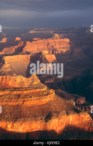 Der Grand Canyon gesehen bei Sonnenaufgang von Yavapai Aussichtspunkt auf den South Rim Arizona USA Stockfoto