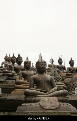 Buddha-Statuen am Gangaramaya Tempel, in der Hauptstadt Colombo. Verschiedene Buddha-Statuen sind im Garten angeordnet. Stockfoto