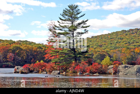 Herbst IV Stockfoto