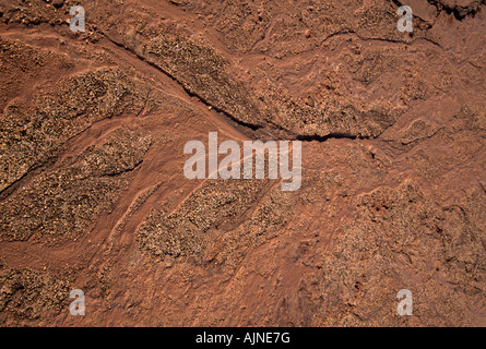 Abstract Trockenerde, Geothermalgebiet Námaskard Hverarond, Nordost-Island Stockfoto