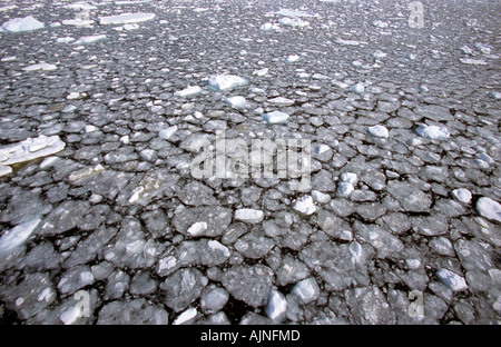 Pfannkuchen-Eis und Eisberge vor der Küste der Antarktis bilden Stockfoto