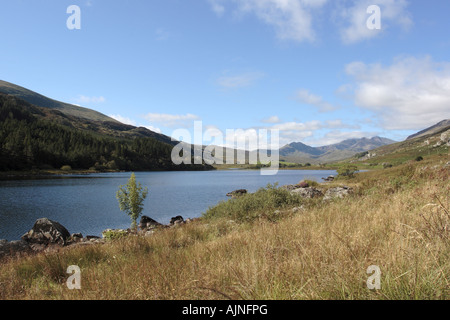 Blick vom Capel Curig Snowdon Llnnau Mymbyr See im Vordergrund Stockfoto