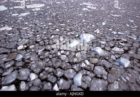 Pfannkuchen Sie-Eis antarktische Halbinsel, Antarktis Stockfoto