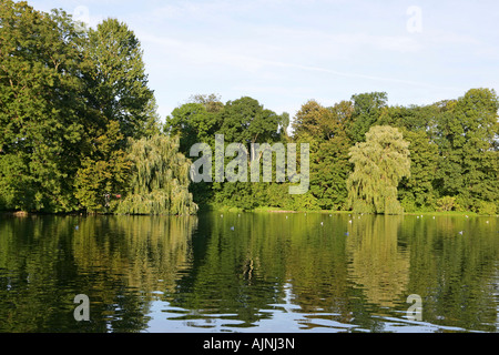 Lake Kleinhesseloher See im englischen Garten München, Bayern, Deutschland Stockfoto
