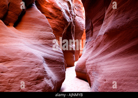 Schmale hügelige Gasse in Buckskin Gulch in Vermillion Cliffs Paria Wilderness, Utah Stockfoto