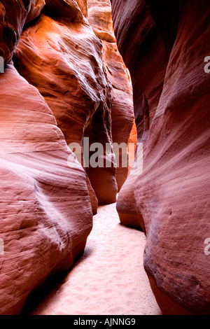 Schmale Gasse des Steins in Buckskin Gulch geschnitzt von Natur in der Paria-Wüste von Utah Stockfoto