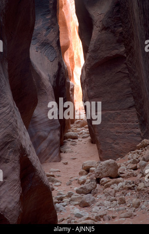 Boulder-Allee der Buckskin Gulch in Vermillion Cliffs Paria Wilderness, Utah Stockfoto