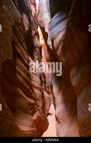 Küssende Felsen, Buckskin Gulch in Vermillion Cliffs Paria Wilderness, Utah Stockfoto