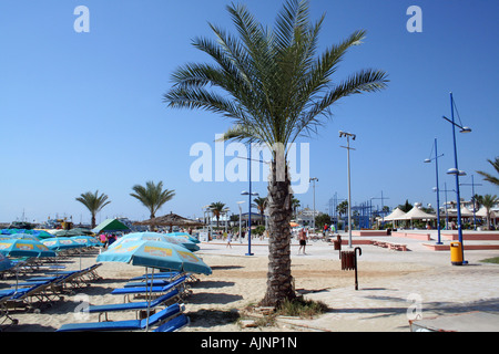 Ayia Napa Hafen im Ferienort auf der Insel Zypern. Sie können die Palmen gesäumten Promenade sehen. Stockfoto