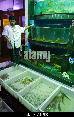Aquarien in einem lokalen Restaurant Sanya Stadt Hainan Provinz China Asien Stockfoto