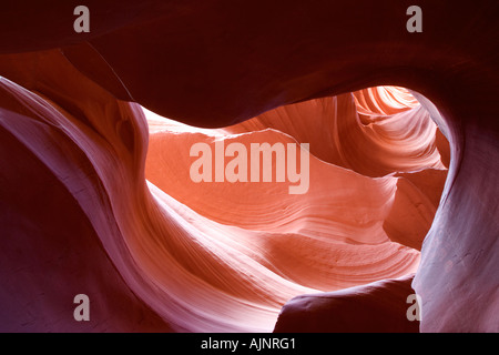 Geformte Öffnung in den Felsen, Lower Antelope Canyon, Page, Arizona Stockfoto