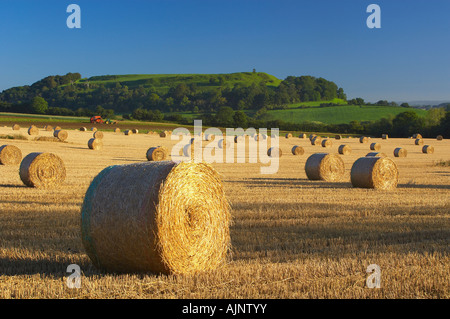 Strohballen auf einem Feld in der Nähe von South Cadbury Cadbury Castle (Eisenzeit Wallburg) Darüber hinaus, Somerset, England, UK Stockfoto