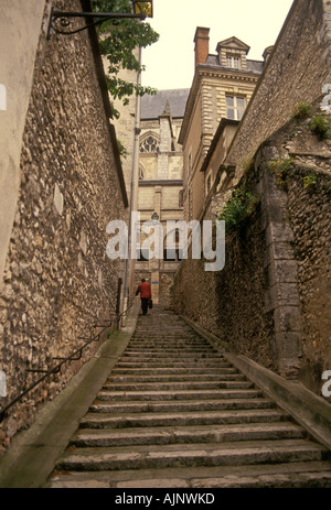 Enge Straße, Stein, Treppe, Treppen, Stein, Treppe, Treppenhaus, Pourtour saint louis, Stadt Blois, Blois, Tal der Loire, Frankreich, Europa Stockfoto