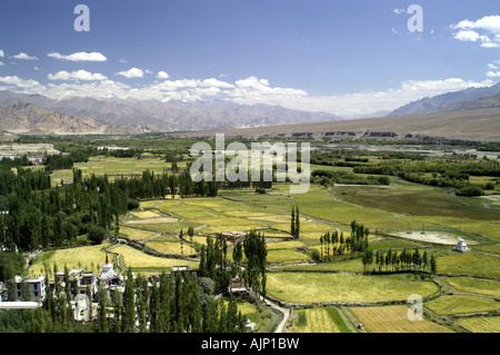 Ladakh Tal Blick grünen Feldern Indus Fluß aus Spitok Kloster in der Nähe von Leh, Himalaya, Indien Stockfoto