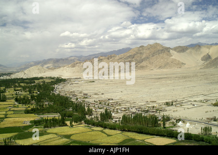 Ladakh Tal Blick grünen Feldern Indus RiverSpitok Kloster in der Nähe von Leh, Himalaya, Indien Stockfoto