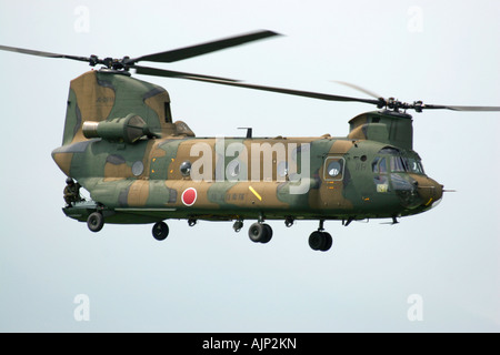Boeing-Vertol CH-47 Hubschrauber des japanischen Boden Self Defence Force Stockfoto