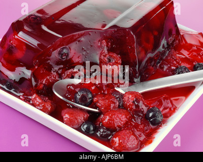 FRÜCHTE DES WALDES-TERRINE Stockfoto