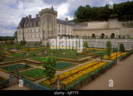 Garten, Garten, Jardin, Château de Villandry, Villandry Chateau, Dorf Villandry, Villandry, Tal der Loire, Indre-et-Loire, Region Centre, Frankreich Stockfoto