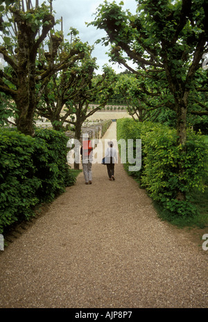 Paar, Gartenweg, Château de Villandry, Villandry Chateau, Dorf Villandry, Villandry, Tal der Loire, Indre-et-Loire, Region Centre, Frankreich Stockfoto