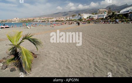 Playa de Torviscas und Fanabe Playa de Las Americas Teneriffa-Kanarische Inseln-Spanien Stockfoto