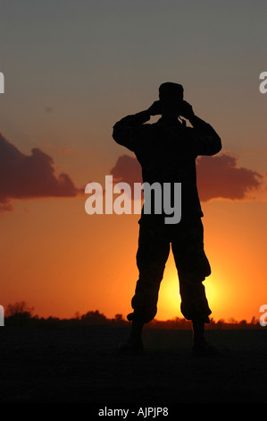 U S Soldat scannt den Horizont an der U-S-mexikanischen Grenze in San Luis Arizona. Foto: Brian E Christiansen Stockfoto