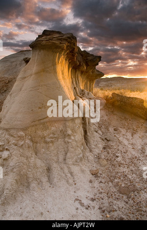 Hoodoos bei Sonnenuntergang im Dinosaur Provincial Park, Alberta, Canada Stockfoto