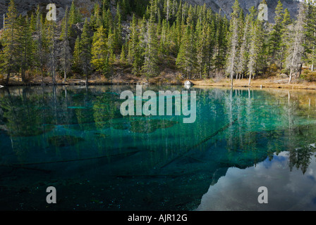 Klaren smaragdgrünen Wasser des Grassi Lakes Rocky Mountains Canmore Stockfoto