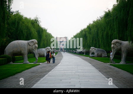 Der Heilige Pfad Ming Gräber Peking Bezirk China Stockfoto