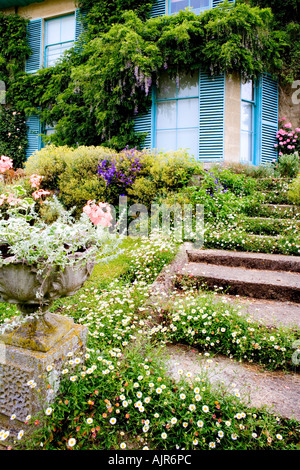 Steinstufen im Broadleas Garten, Devizes, Wiltshire mit blauen Fensterläden des Hauses im Hintergrund. Stockfoto