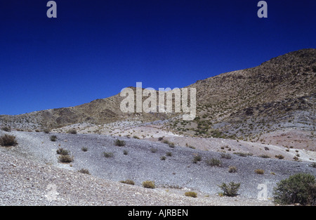 Ein Blick auf eine Höhenlage Steppe in den Vorgebirge/zentral-Anden in Argentinien Stockfoto