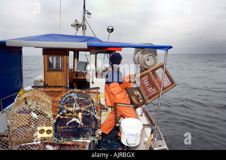 Nordischen Fischer auf einem Boot bereitet ein Draht Hummerfalle über Bord mit Hilfe einer elektronischen Schlepper geschoben werden. Schweden Stockfoto