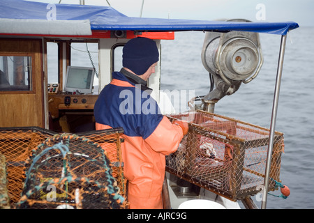 Nordischen Fischer auf einem Boot bereitet ein Draht Hummerfalle über Bord mit einem elektronischen Schlepper geschoben werden. Kattegat Meer Schweden. Stockfoto