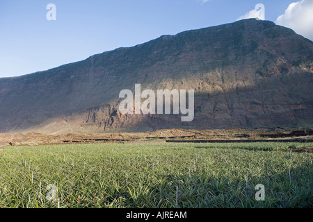 Spanien, Kanarische Inseln, El Hierro, Blick auf eine Berglandschaft der Inseln In der Front einer Ananasplantage Stockfoto