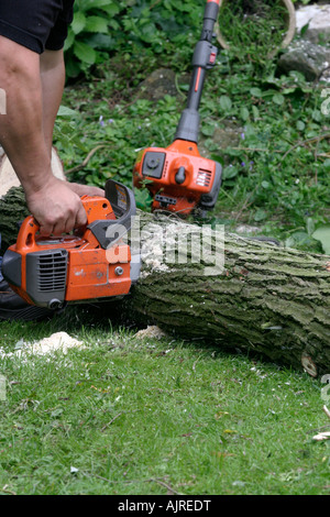 Mann schneidet einem gefallenen Ast mit einer Kettensäge. Wind und Sturm Schäden in einem Garten von Nottingham. Äste von einem Riss Weide, Salix Fragilis gebrochen. Stockfoto