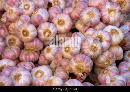 Auswahl an Knoblauch Zwiebeln genommen hautnah Stockfoto