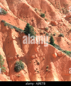 Bryce Canyon - Utah - USA Stockfoto