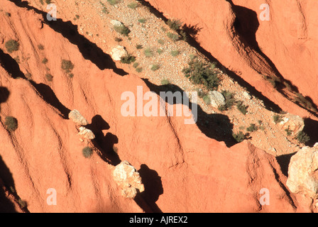 Bryce Canyon - Utah - USA Stockfoto