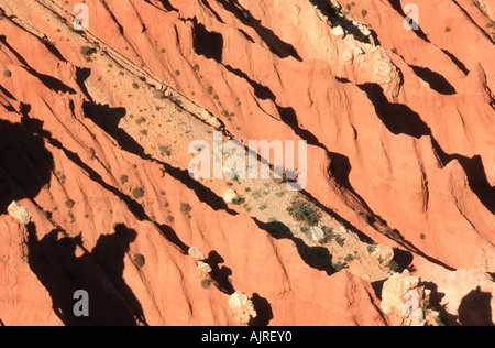 Bryce Canyon - Utah - USA Stockfoto