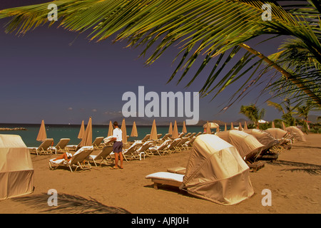 Pinney Strand, Nevis, tropische Idylle, Kokosnuss-Palmen, ruhigen ruhiges Wasser, Meer, Ozean, Stockfoto